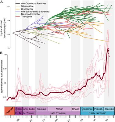 So Volcanoes Created the Dinosaurs? A Quantitative Characterization of the Early Evolution of Terrestrial Pan-Aves